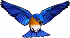 Bluebird ApS logo