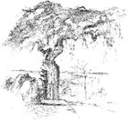 SKIVE KIRKEGÅRDE logo