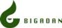 logo for BIGADAN A/S