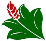 BREDBALLE HAVE- OG ANLÆGSSERVICE A/S logo