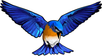 Bluebird ApS logo