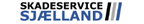 Skadeservice Sjælland ApS logo