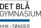 TØNDER HANDELSSKOLE logo