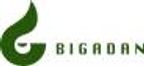 BIGADAN A/S logo