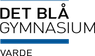 VARDE HANDELSSKOLE OG HANDELS- GYMNASIUM logo