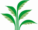 logo for JYDSK PLANTESERVICE A/S
